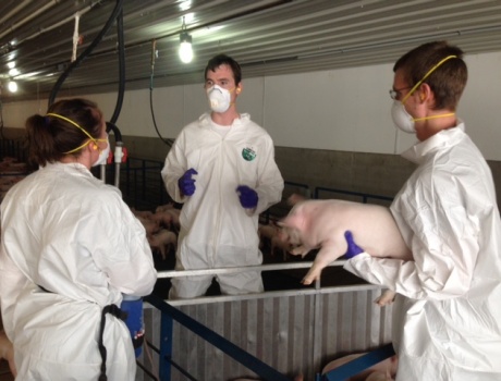 The Swine Medicine Talks: An AASV and SMECast Series for Veterinary Students