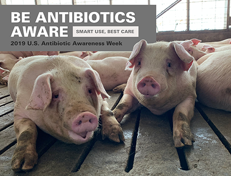 It’s U.S. Antibiotic Awareness Week!