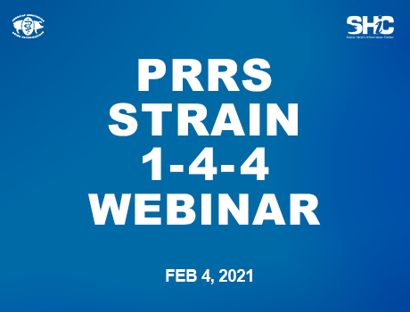 February 4 Webinar Addresses PRRS Strain 1-4-4 Outbreaks