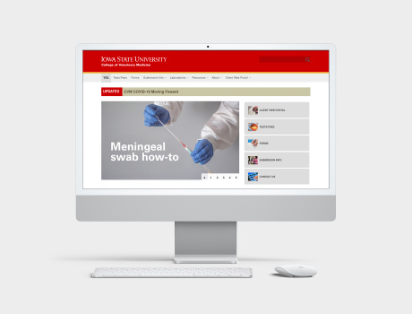 Need to Collect a Meningeal Swab? Watch Our Video Tutorial