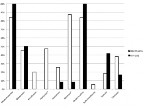 Isolation and Characterization of Methicillin-Resistant Staphylococcus aureus from Pork Farms and Visiting Veterinary Students