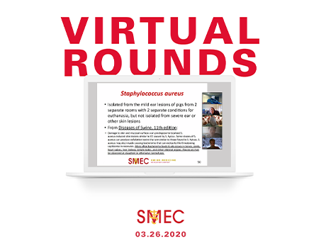 SMEC transitioned to online student rounds